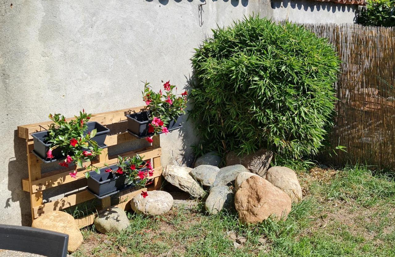 Bed and Breakfast La Tana Dei Corgi Moncrivello Exterior foto