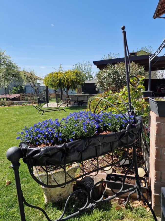 Bed and Breakfast La Tana Dei Corgi Moncrivello Exterior foto